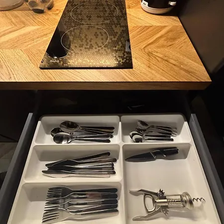 Lux Old Town - Plac Wolnosci 6 Apartamento *