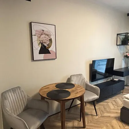 Lux Old Town - Plac Wolnosci 6 Apartamento *